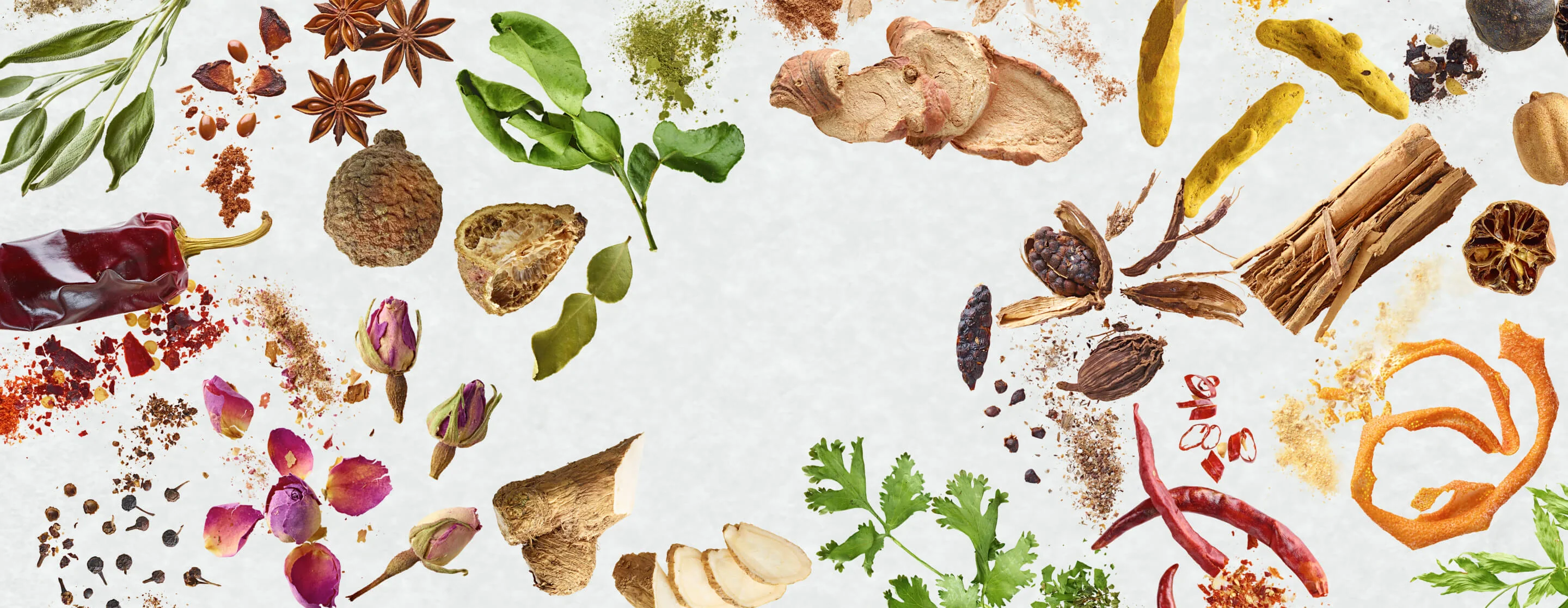 Elevate Every Dish with Art